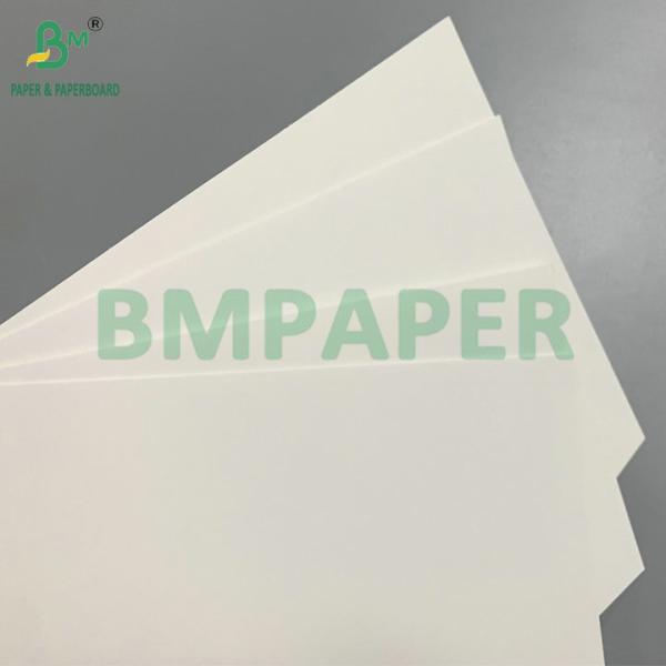 C1S 275gsm + 15gsm PE Frozen Cardboard For Shrimp/Fish Packaging Box