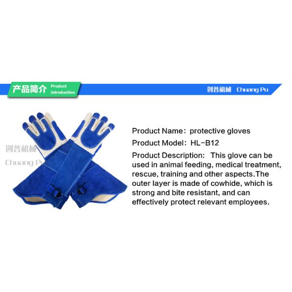 Guantes animales del control del cuero azul del color, animal que maneja los guantes para el perro/el gato