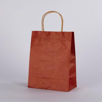 Small Wave Style Boutique Cosmetic Paper Bag OEM ODM available