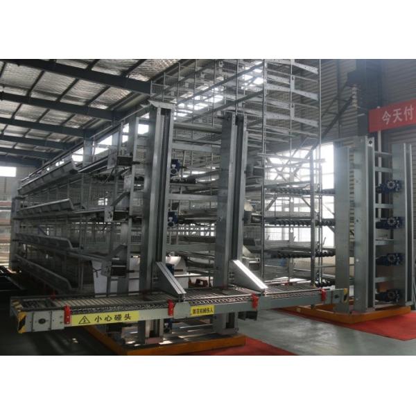 Environmental Friendly Automatic Chicken Cage  / Chicken Breeding Cages