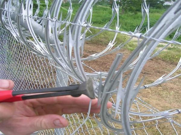 New products sell like hot cakes Stab blade thorn rope anti-theft cage gill net against climb barbed wire, crawl barbed wire