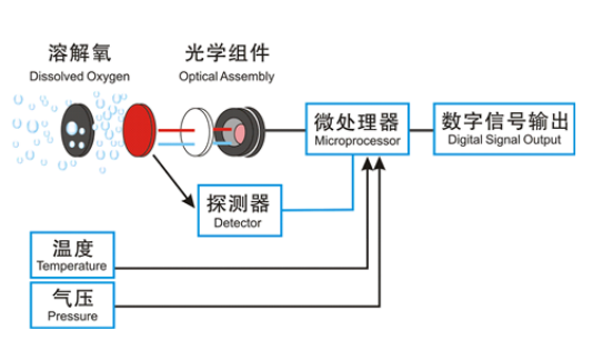 Fluorimetry Water Dissolved Oxygen Sensor Probe Fluorescence Method RS485 Automatic Response time is 10 seconds