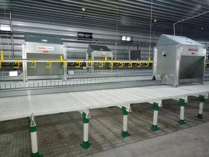 Easy Cleaning Plastic Poultry Slatted Floor Anti Slip Surface for Poultry Chicken Duck