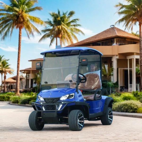 GCC Market 4 Seater Electric Golf Cart with High Grade Ability and Convertible Design
