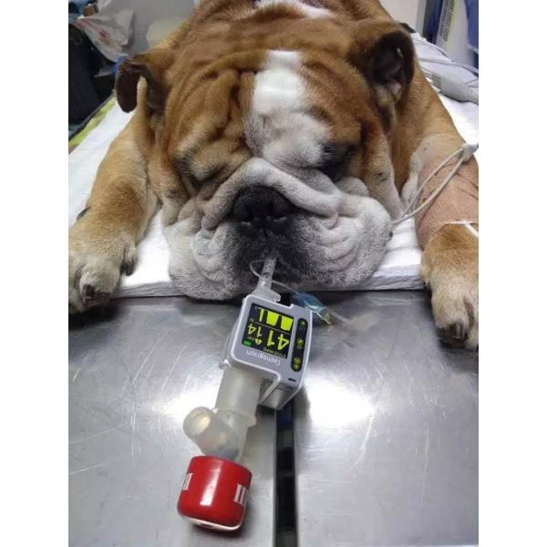 ETCO2 Capnograph Monitor ICU Veterinary Medical Supplies Emergency