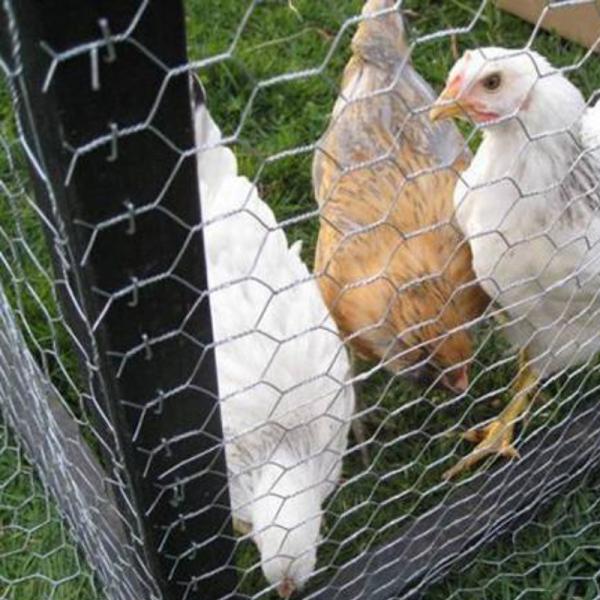 Шестиугольное плетение цыпленка крена 1.8мм сетки Габион