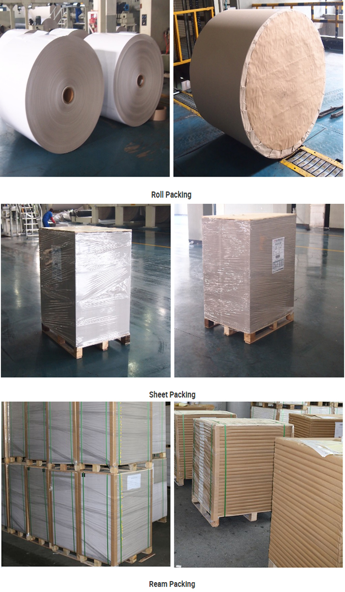 Нейтральная пакуя Uncoated белая бумага писчей бумаги 80gsm деревянная свободная