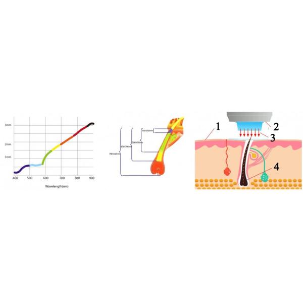 Постоянное волокно машины удаления волос лазера диода соединило силу 808нм 600в