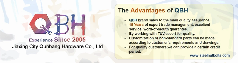 Фотовольтайческий крюк крыши ISO9001 для черепицы Curfed