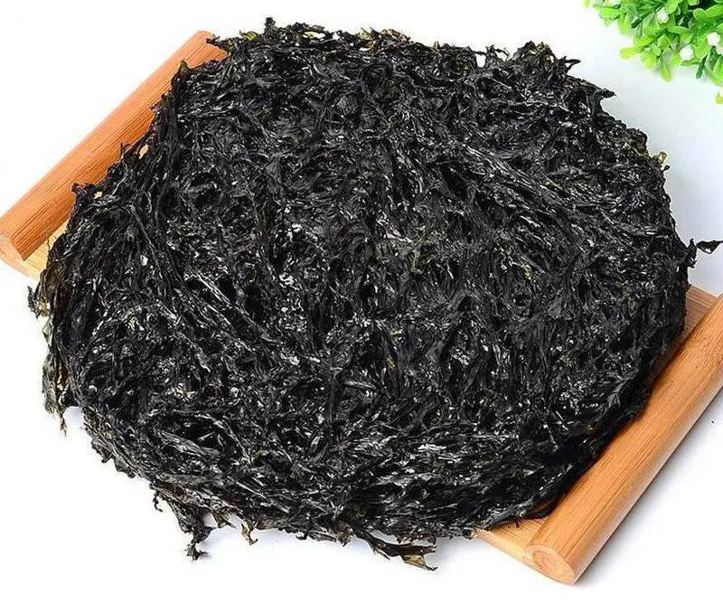Porphyra Seaweed Porphyra Haitanensis  SEAWEED