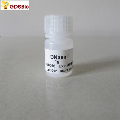 DNase I Powder N9066 1g In Vitro Diagnostic Products
