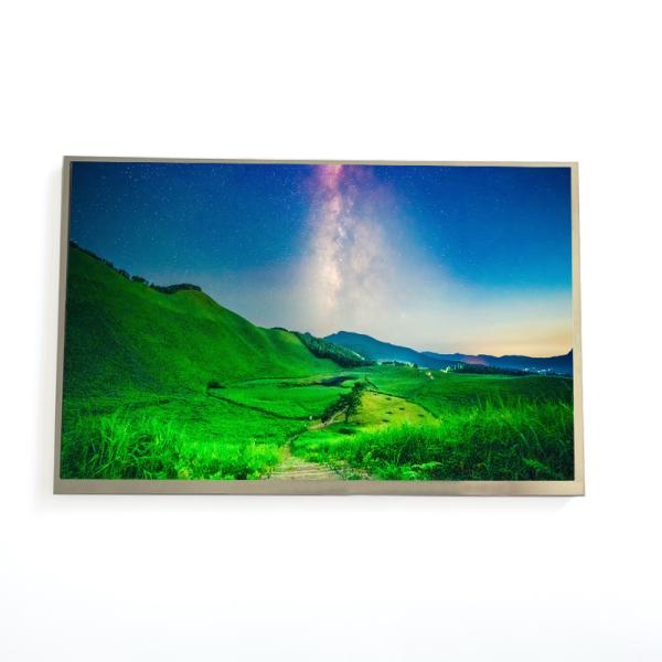 Alto brillo 10,1 pulgadas IPS TFT pantalla LCD 1000 nits Interfaz LVDS 1280x800