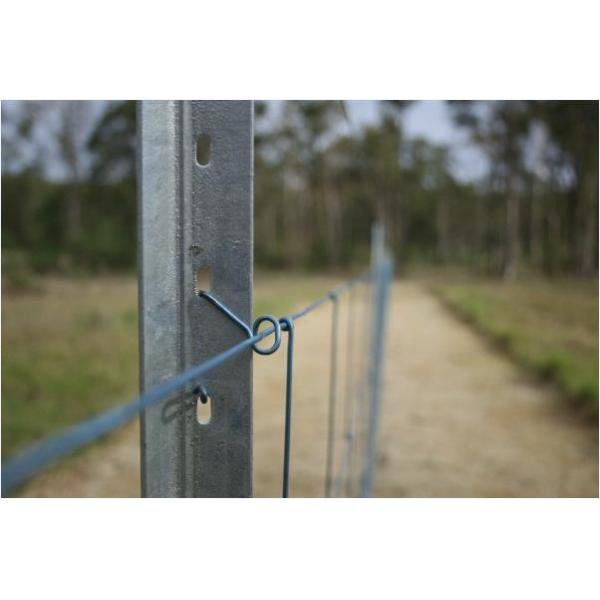 a cerca Star Pickets Hot da altura de 2000mm mergulhou o cargo galvanizado de Y