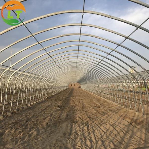 Single Layer Chinese Greenhouse Frame for Compression Resistant and Customizable Design