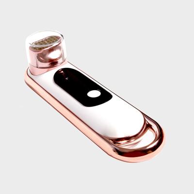 A massagem LCD da vibração indica o instrumento da beleza de 163mm RF EMS
