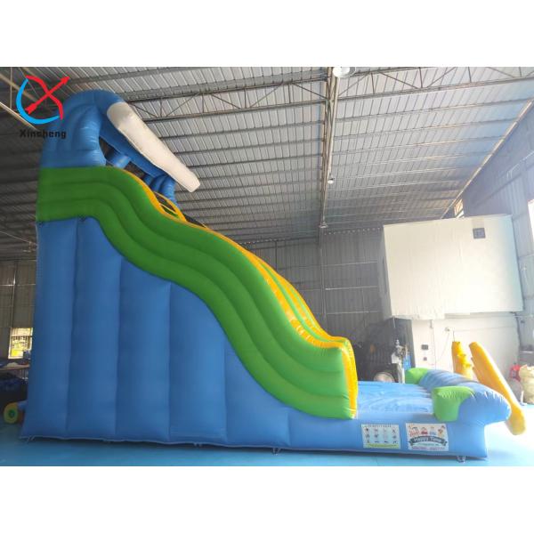 4x8x8m Commercial Inflatable Slide Inflatable Dry Slides Outdoor