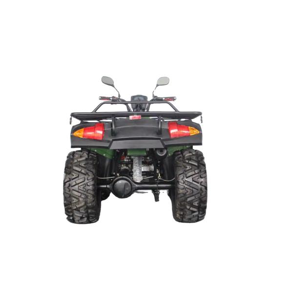 250cc Racing ATV with Automatic Transmission and 150-200mm Minimum Grand Clearance