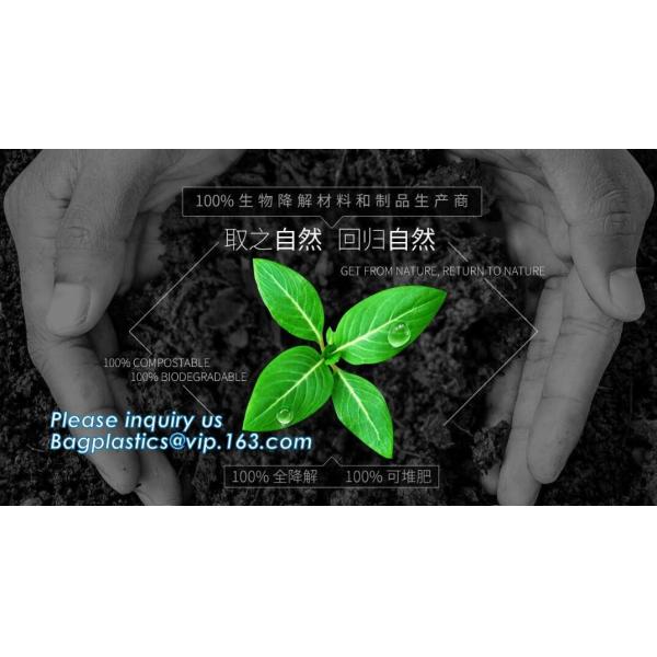 YANTAI BAGEASE PACKAGING PRODUCTS CO.,LTD