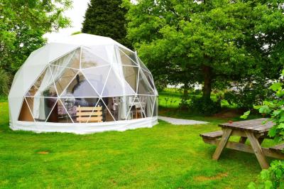 Transparent PVC Half Sphere 25m Geodesic Dome Tent For Party / Wedding
