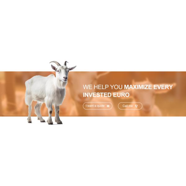 Алюминиевое стекло из сплава металлического металла Конструкция помещения для фермы козов Стальная конструкция Дом для овец Приют PKPM Рисунок