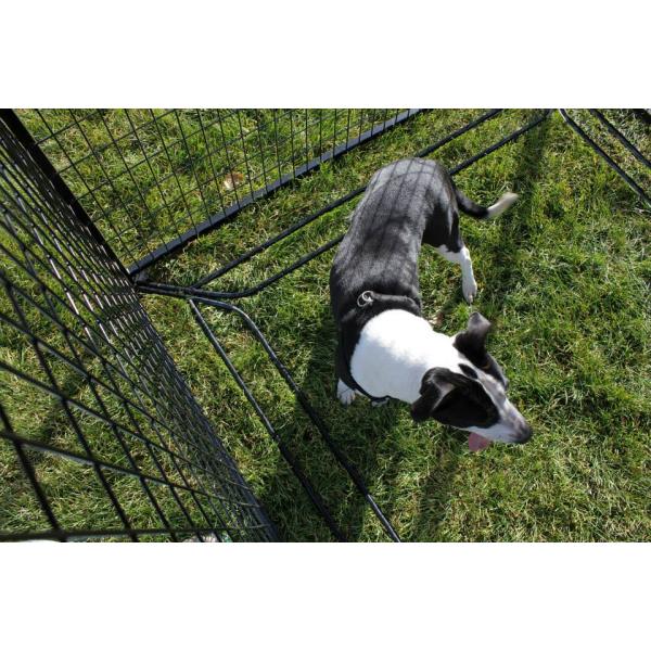 welded wire dog kennel 10x10x6