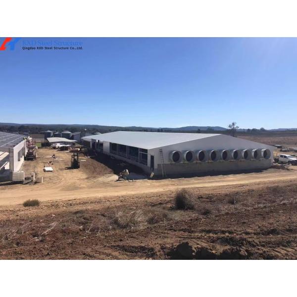 Structure en acier à longue portée Construction d'une porcherie Construction d'une ferme avicole préfabriquée