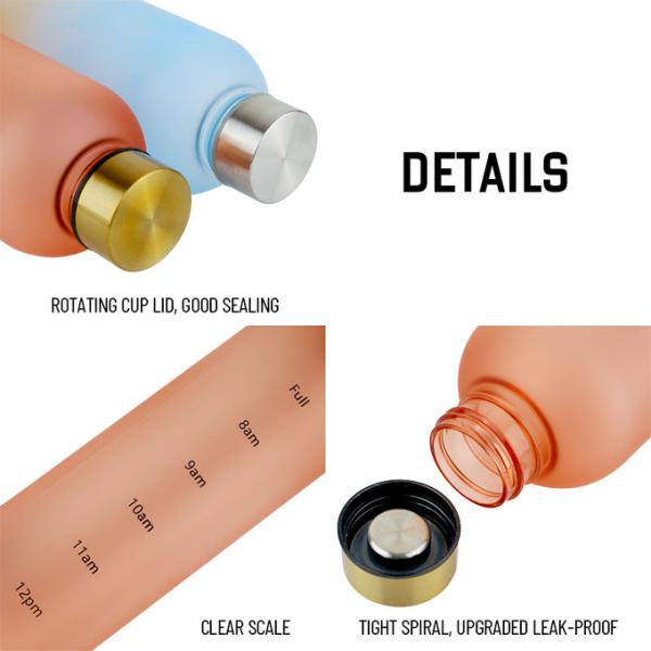 Botellas de agua de vidrio a prueba de fugas de 18 oz.