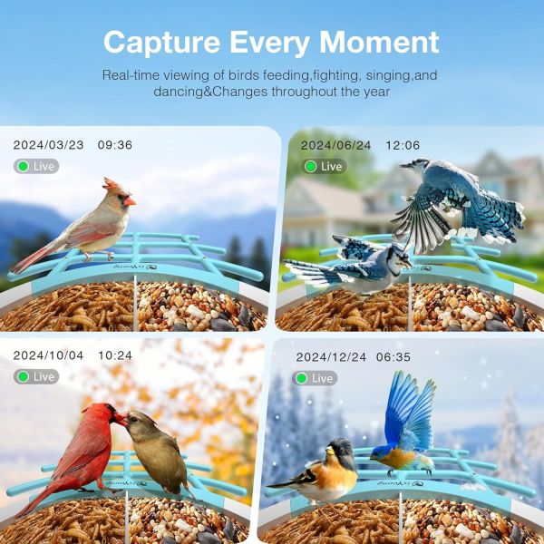 AI Recognized Bird Feeder with Camera, Outdoor IP65 Waterproof Night Vision Bird Watching Device