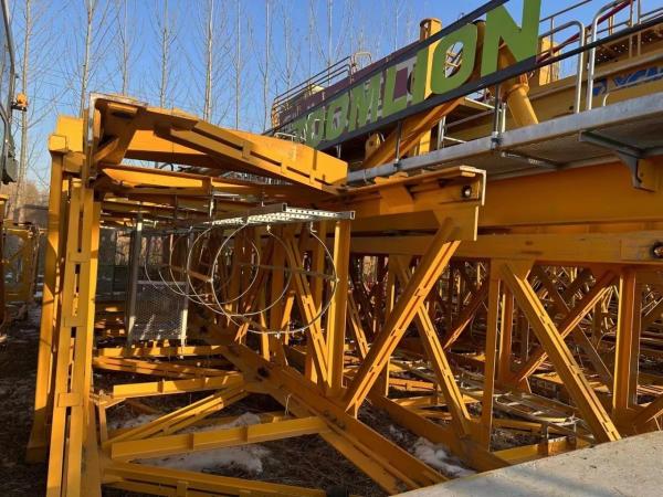 20 ans Zhonglian Tour Crane 7020-12 avec service après-vente