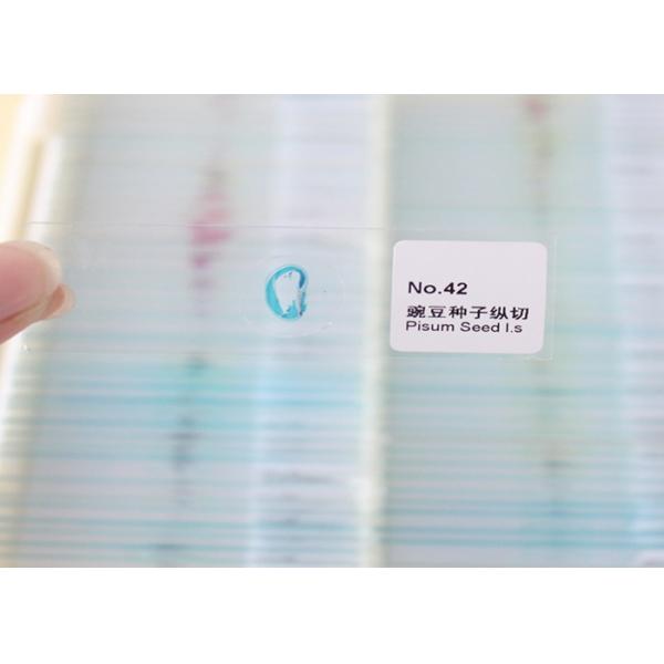 Pre Prepared 50pcs Microscope Glass Slides Mixed On Animal Plant And Insect