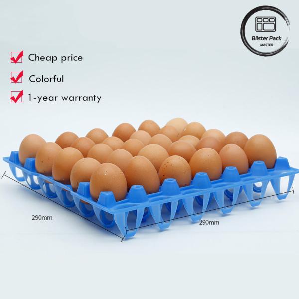 Affordable 30 Cell Plastic Egg Blister Tray Packaging for Chicken Eggs