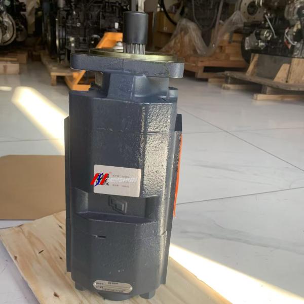 Pompes à engrenages pour chargeurs de roues SEM, partie n° 5564831