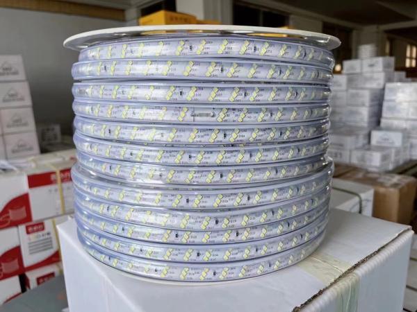 110V / 220V LED Strip Light 100m/roll With Connector Customization 8mm 10mm Etc PCB Width