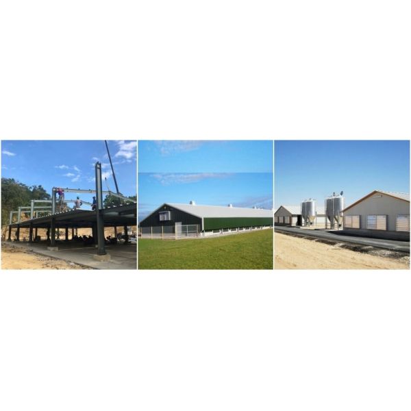 Agricultural Prefabricated Structures Steel Commercial Building Poultry House