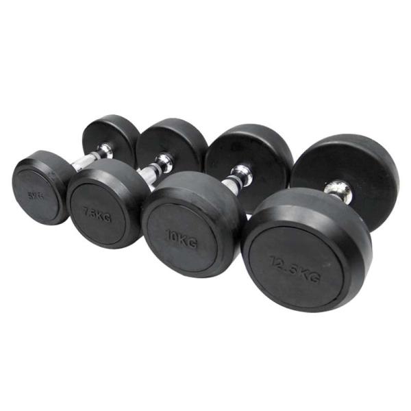 Rubber Weight Lifting Dumbbell Gym Fixed 2.5kgs Round Dumbbell Set Black
