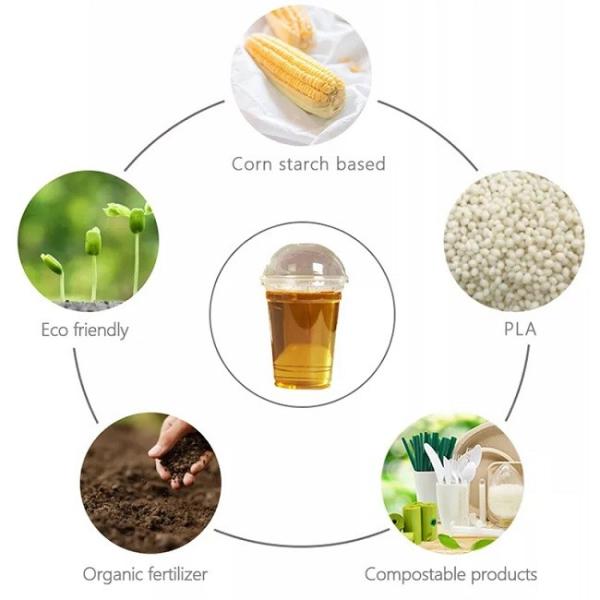 16 20oz Custom Printed Compostable Biodegradable PLA Cups Clear Disposable Plastic Cup