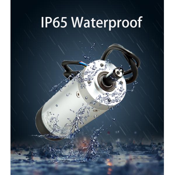 Three Phase Low Voltage Servo Turnstile Motor 100 Watt 1.3kg