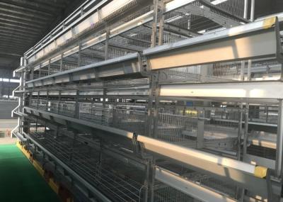 High Efficiency Poultry Keeping Machinery Long Service Life  For Tropical Area