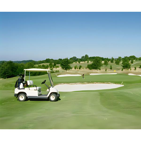 Настраиваемый внедорожник Свинцовая кислота Батарея Охотничьи коляски Лучшая электрическая тележка для гольфа