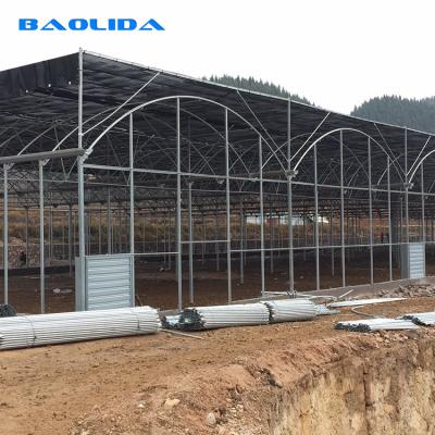 Estufa do período do espaço livre lateral da ventilação multi com sistema de proteção exterior