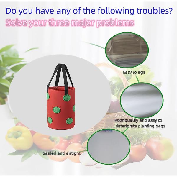 Strawberry Grow Bags, No Gauze Growing Bag, Hole Upside Down Planter Handling Planter Bags, Planting Strawberries