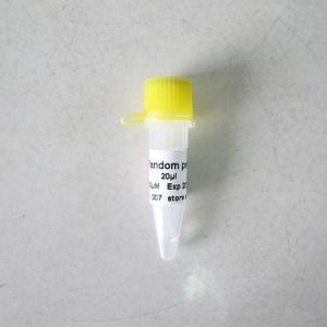 R2031 20uL Random Hexamer Primer 6-Mer Colourless Appearance