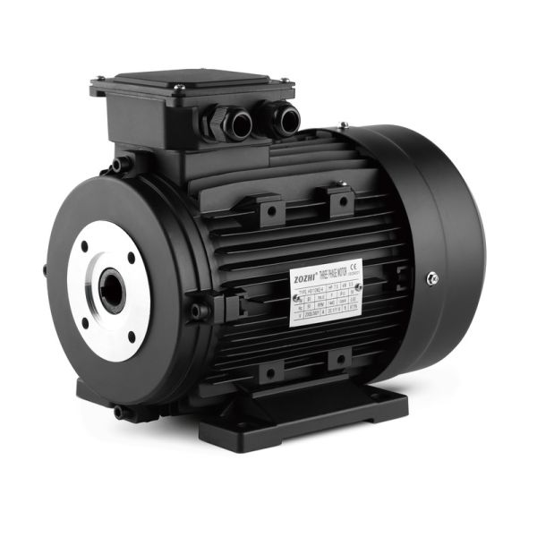 7.5hp/5.5kw Three Phase Ac Induction Asynchronous Hollow Shaft Pressure Washer Machine Motor 