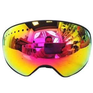 2025 Winter New Style Adult Ski Goggles - Magnetic Attachment Double-Layer Anti