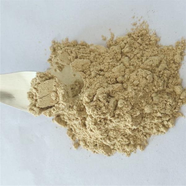 bitter melon extract powder 10% can be usedas nutritional supplement Free Sampler