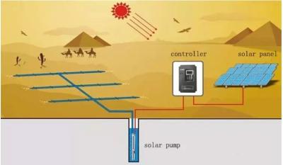 Electric DC Solar Water Pump Stainless Steel Fasteners 12V DC Remote Homes