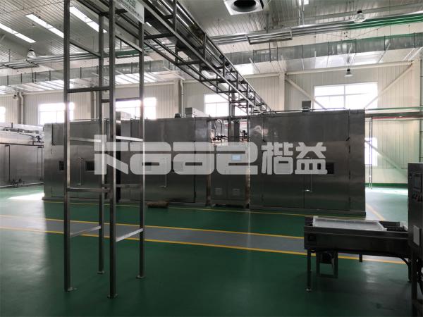 Kaiyi Garlic Onion Tomato Dehydrator Drying Machine Nuts Dryer Conveyor Belt Dryer