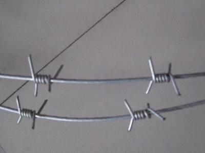 Single Twist Type Antique Barbed Wire With A Variety Of Sizes Galvanized