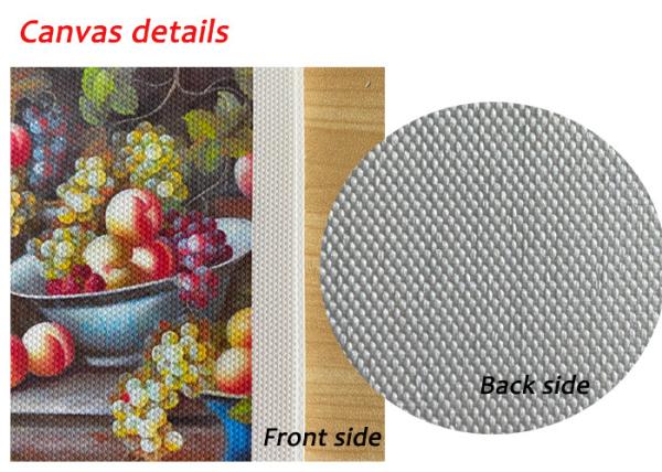 Latex Matte Waterproof Polyester Canvas Roll Eco Solvent 280gsm