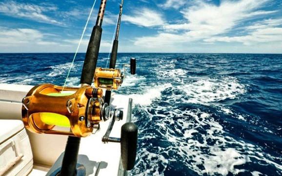 RoHS SGC Small Ball Bearings For Fishing Equipment